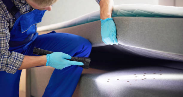 Reliable Thomaston, GA Pest Control Solutions