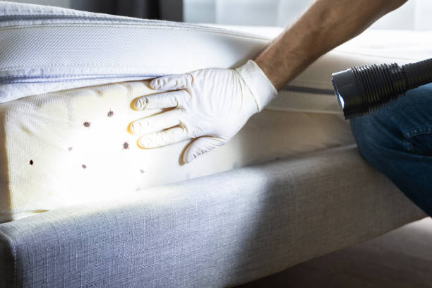  Thomaston, GA Pest Control Pros