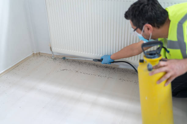 Best Residential Pest Control  in Thomaston, GA